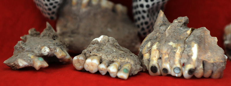 Illustration for article titled Ancient Mayan Tooth Bling Stolen - and Returned by Mystery Benefactor